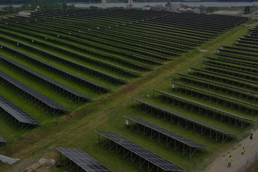 solar agriculture